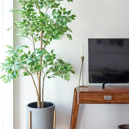 Appartement Elegant Santana *