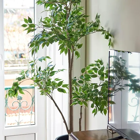 Apartment Elegant Santana Lisbon